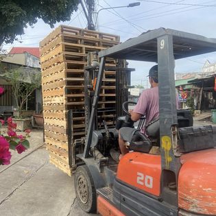 Pallet gỗ