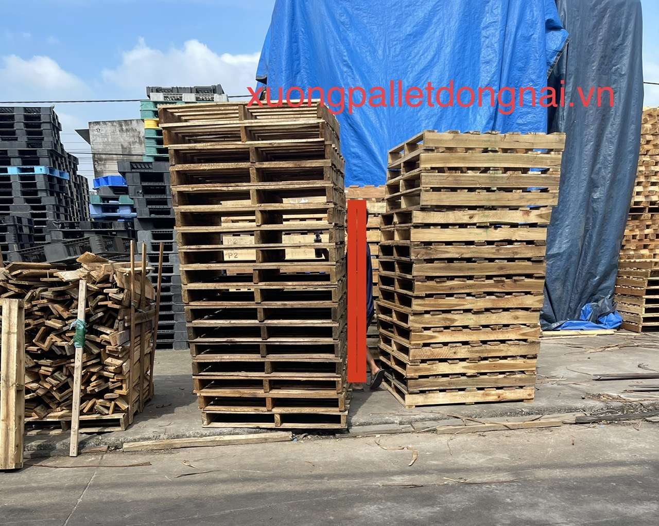 pallet gỗ chất lượng 95% trở lên tại nhơn trạch đồng nai